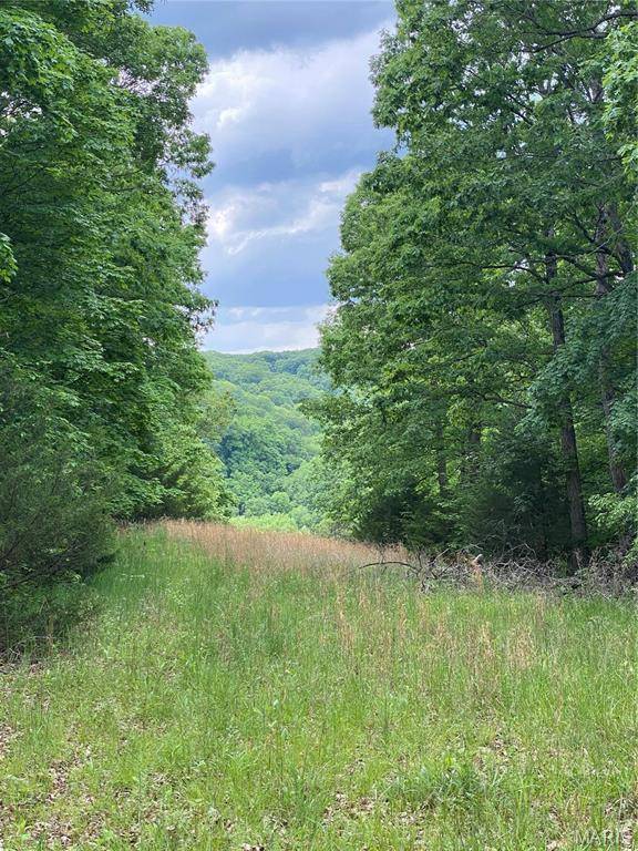 14 +/- AC Steeple Rock DR, Defiance, MO 63341