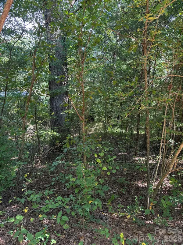 TBD Bedford Creek RD, Ellenboro, NC 28040
