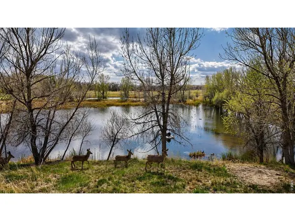 38250 County Road 170, Agate, CO 80101
