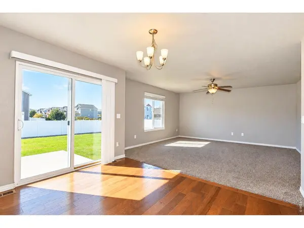 6001 Clarence, Windsor, CO 80550