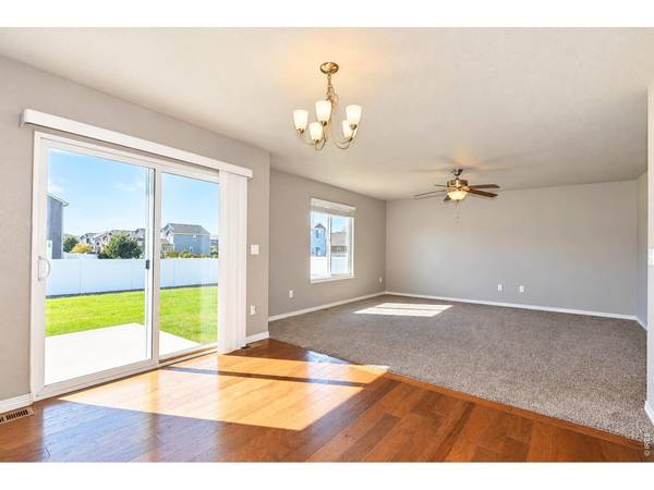 6001 Clarence, Windsor, CO 80550