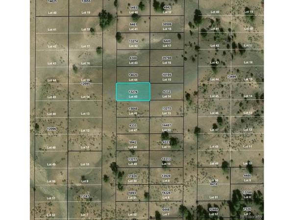 Willow, Hartsel, CO 80449