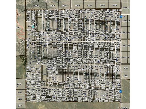 Willow, Hartsel, CO 80449