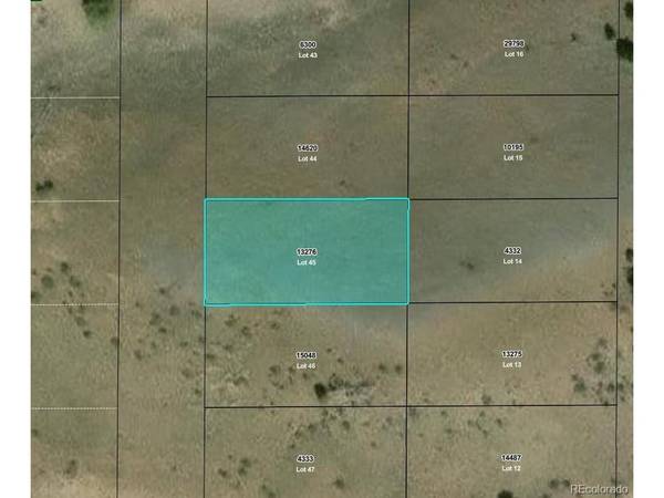 Willow, Hartsel, CO 80449