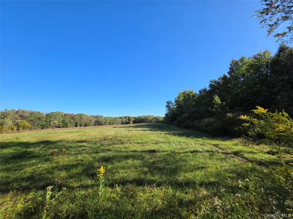 TBD Lily Pond RD, Parksville, NY 12768