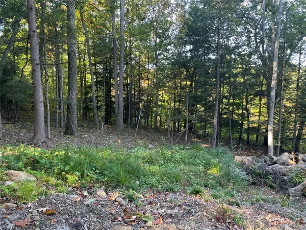 Mamakating RD, Wurtsboro, NY 12790