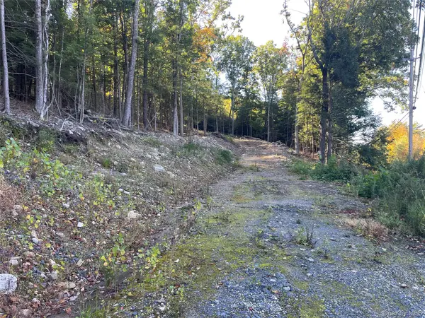 Mamakating RD, Wurtsboro, NY 12790