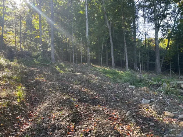 Mamakating RD, Wurtsboro, NY 12790