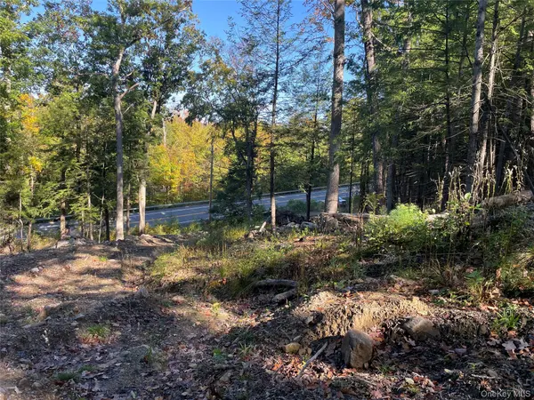 Mamakating RD, Wurtsboro, NY 12790