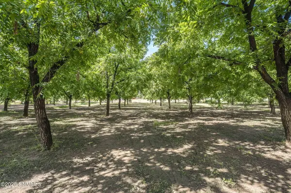 4843 Grider RD, Las Cruces, NM 88007