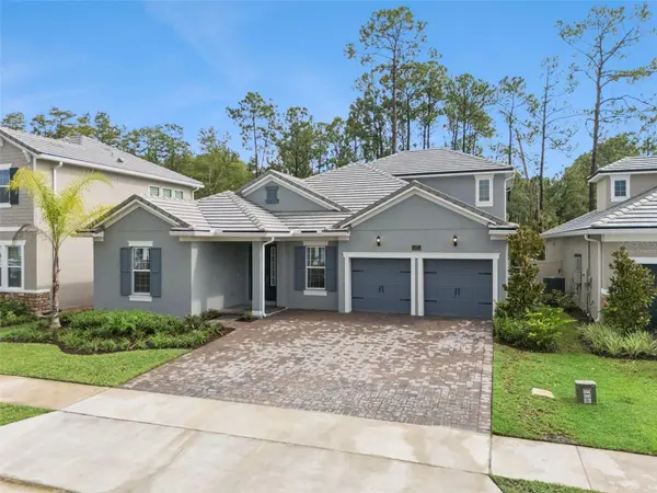 14371 CREST PALM AVE, Windermere, FL 34786