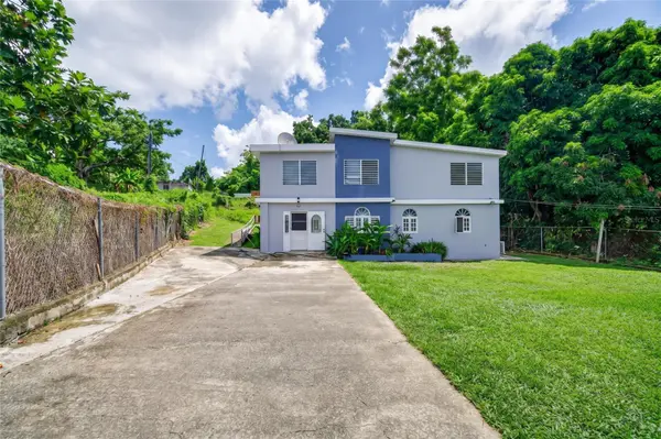 142 CALLE 7 BO CAROLA, Rio Grande, PR 00745