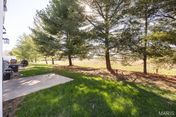 2058 Celebration Park CIR, Belleville, IL 62220