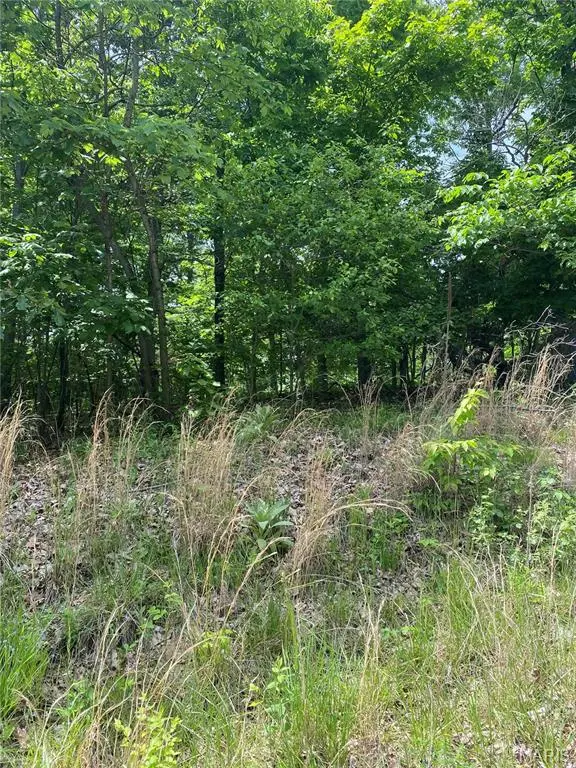 14 +/- AC Steeple Rock DR, Defiance, MO 63341