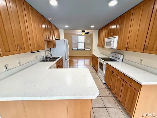 4153 McPherson AVE, St Louis, MO 63108