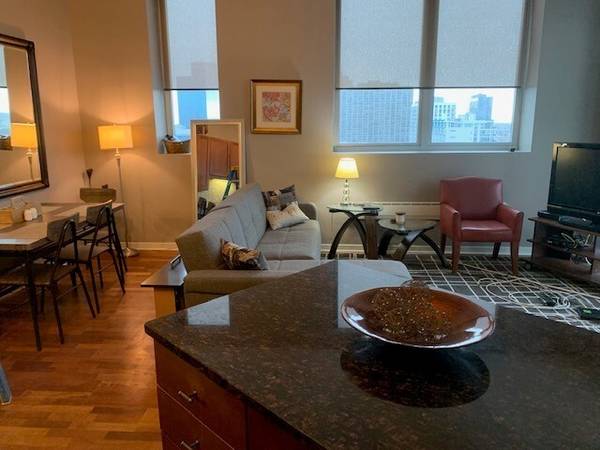 1600 S Indiana AVE #1310, Chicago, IL 60616