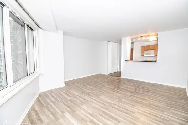 211 E Ohio ST #2515, Chicago, IL 60611