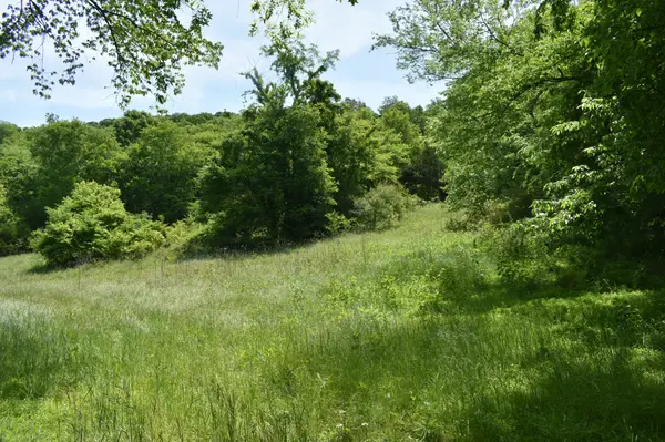 0 Brooks Bend Lane, Gainesboro, TN 38562