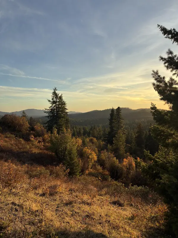TBD Deer Valley Rd, Newport, WA 99156
