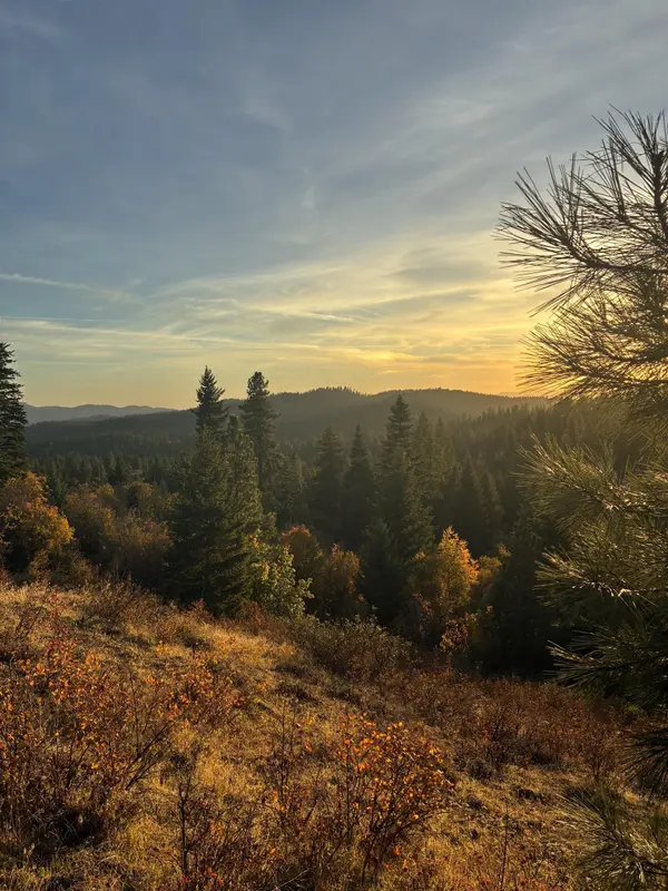 TBD Deer Valley Rd, Newport, WA 99156