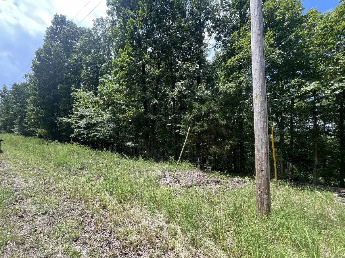 0 Eagle View Dr, Dover, TN 37058