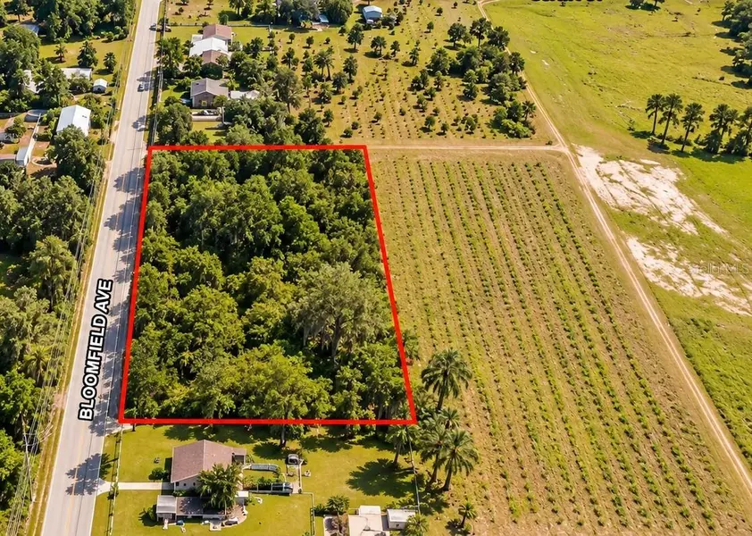 26714 BLOOMFIELD AVE, Yalaha, FL 34797