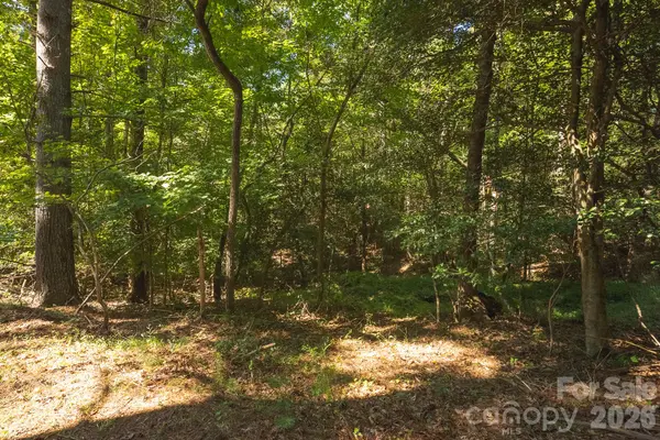 394 Rainbow Trout DR, Hays, NC 28635