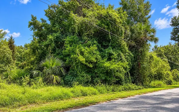 26714 BLOOMFIELD AVE, Yalaha, FL 34797