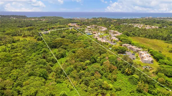 KM 13 PR-693, Dorado, PR 00646