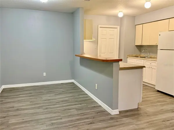 3514 E MOHAWK AVE, Tampa, FL 33610