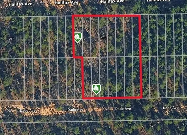 HALIFAX AVE, Interlachen, FL 32148