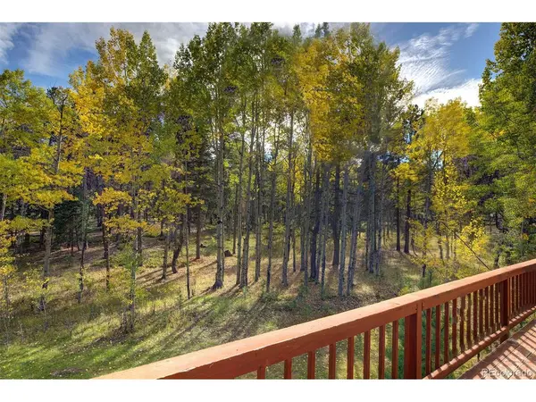 11800 S Ridge, Conifer, CO 80433