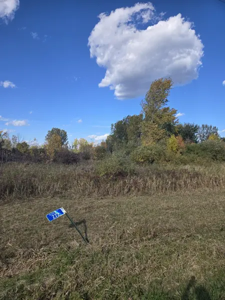 272 E LONE ELM AVE, Van Dyne, WI 54979-0000