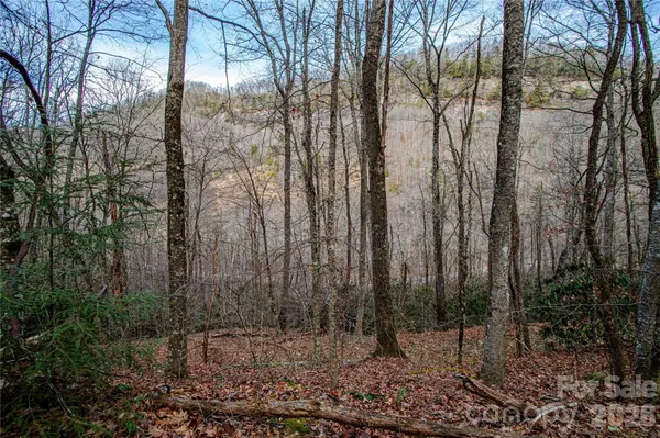 TBD Tannassee Creek RD, Tuckasegee, NC 28783