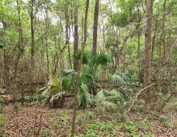 15363 SE 156TH PLACE RD, Weirsdale, FL 32195