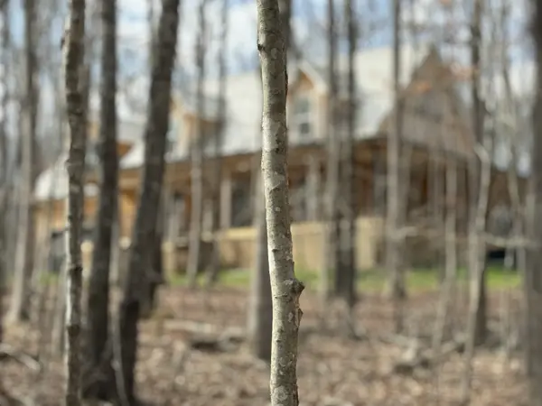 1220 Covered Bridge Ln, Summertown, TN 38483
