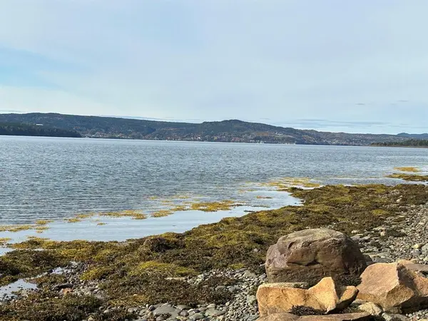Lot #2, Route 232 Smith Sound Road, Harcourt, NL A5A 3A1
