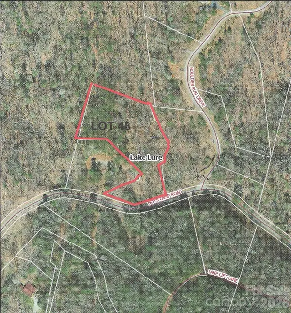 711 Boys Camp RD #48, Lake Lure, NC 28746