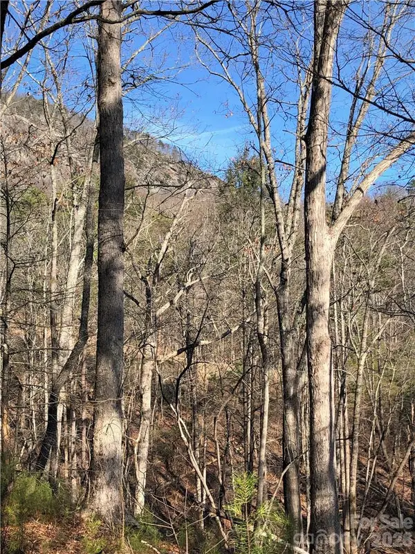 711 Boys Camp RD #48, Lake Lure, NC 28746