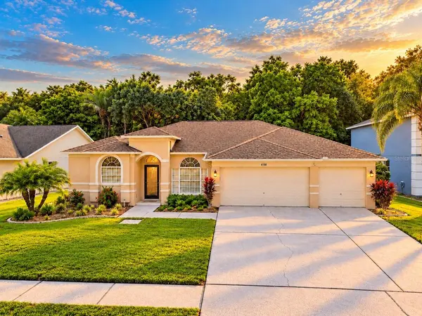 4798 AUGUSTA AVE, Oldsmar, FL 34677