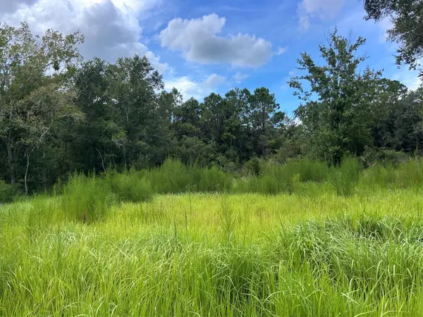 11025 TRACEY CT, New Port Richey, FL 34654