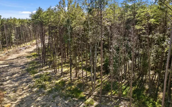 2160 Fallen Oak Pass, Guild, TN 37340