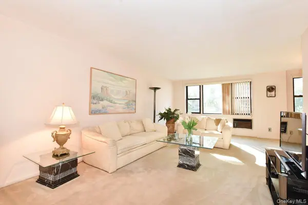 6 Birchwood CT #3F, Mineola, NY 11501