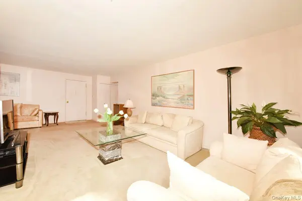 6 Birchwood CT #3F, Mineola, NY 11501