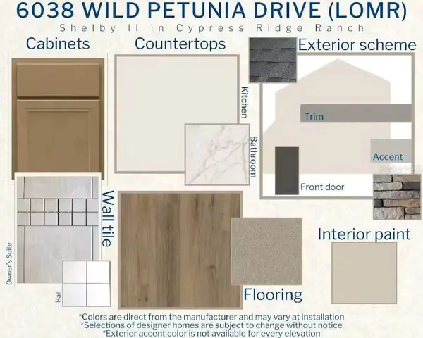6038 WILD PETUNIA DR, Wimauma, FL 33598