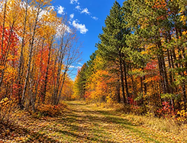TBD (280AC) Maple Grove RD, Cloquet, MN 55720