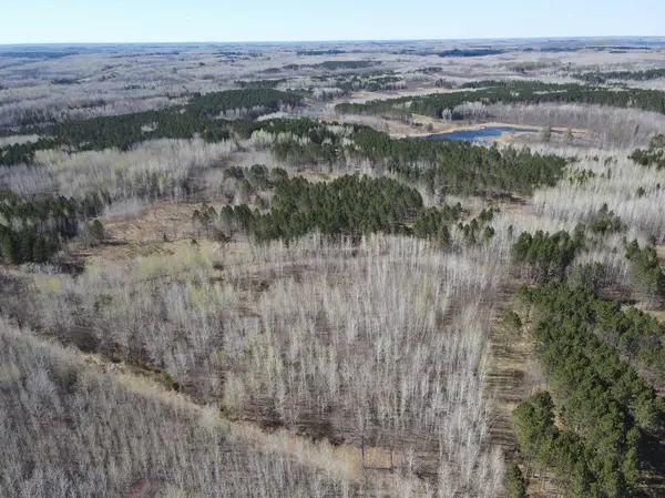 TBD (280AC) Maple Grove RD, Cloquet, MN 55720