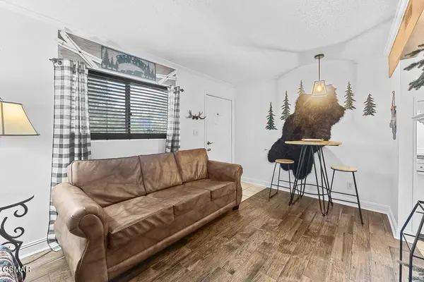 685 River Rd #214, Gatlinburg, TN 37738