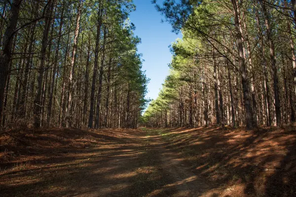 0 Mayfield Divide Rd, Centerville, TN 37033