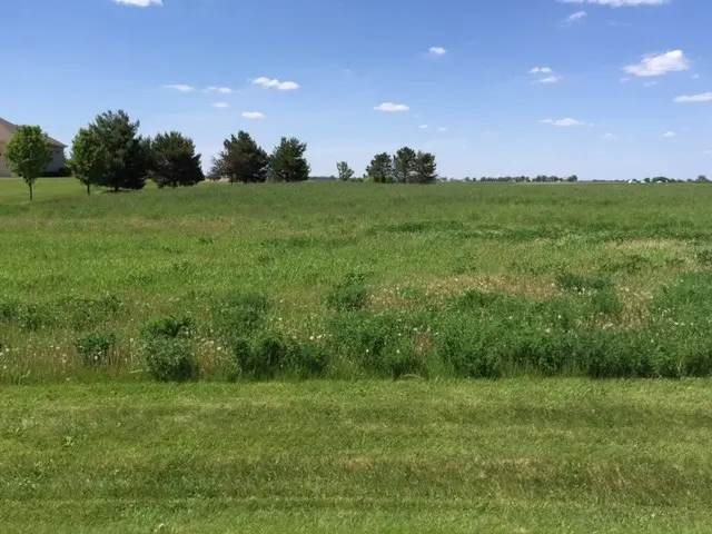 17402 Wildflower CIR, Union, IL 60180